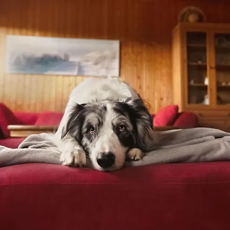 Holiday home Barbara By Interhome *
