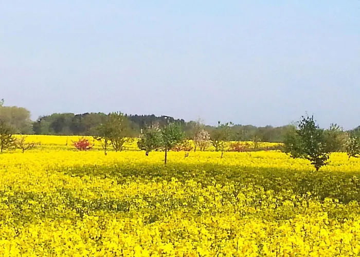 Barbara By Interhome Hébergement de vacances Kittlitz